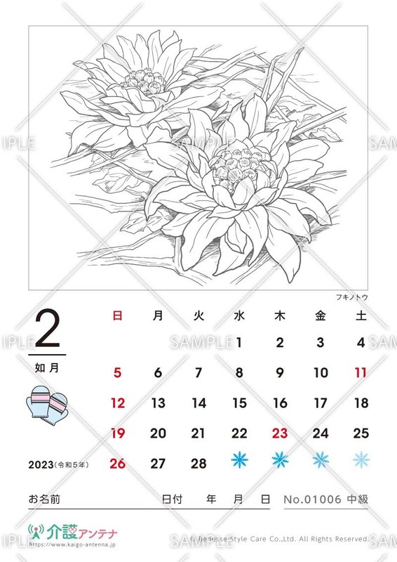 2023年2月の塗り絵カレンダー「フキノトウ（植物）」