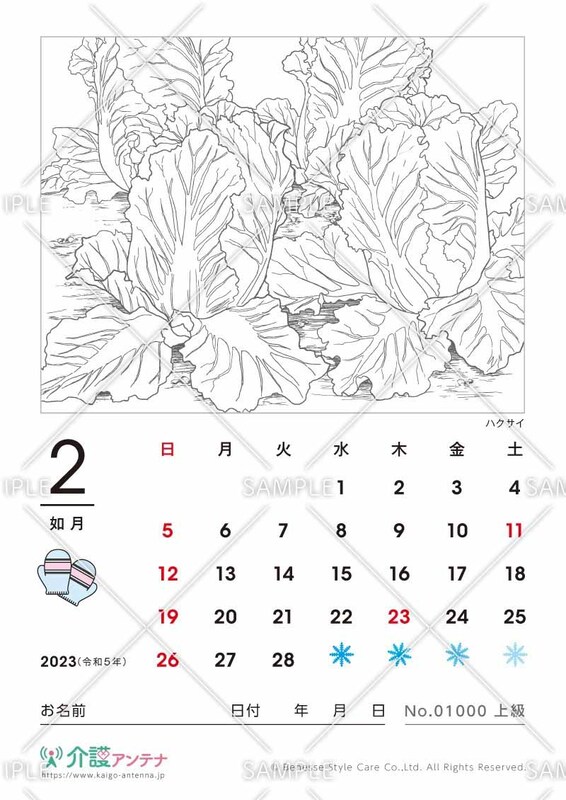 2023年2月の塗り絵カレンダー「ハクサイ（植物）」
