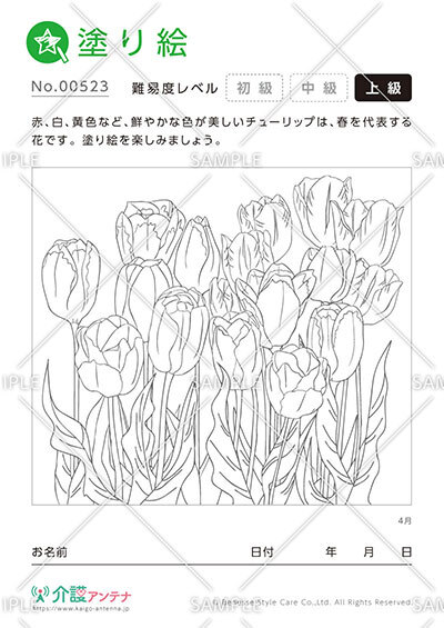 塗り絵「4月の花 チューリップ」 - No.00523