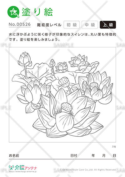 塗り絵「7月の花 スイレン」 - No.00526