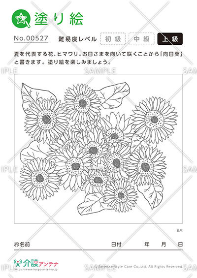 塗り絵「8月の花 ヒマワリ」 - No.00527