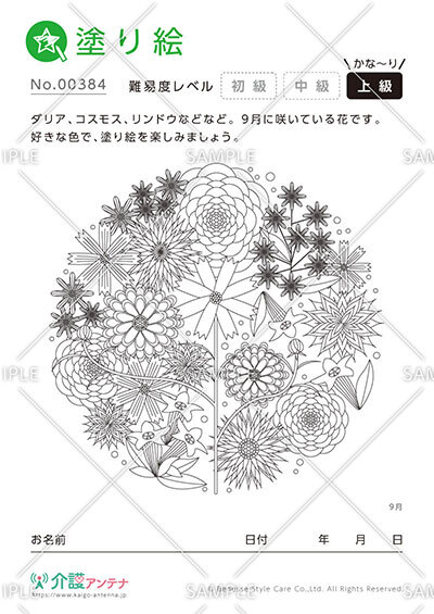 大人の塗り絵「9月の花」ダリア、コスモス、リンドウなど