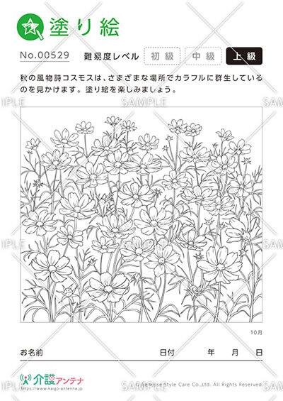 塗り絵「10月の花 コスモス」 - No.00529