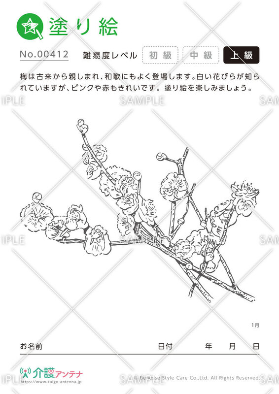 21年1月におすすめの高齢者向け介護レク素材 脳トレ 塗り絵など 介護アンテナ 21年1月におすすめの高齢者向け介護レク素材 脳トレ 塗り絵など 介護アンテナ