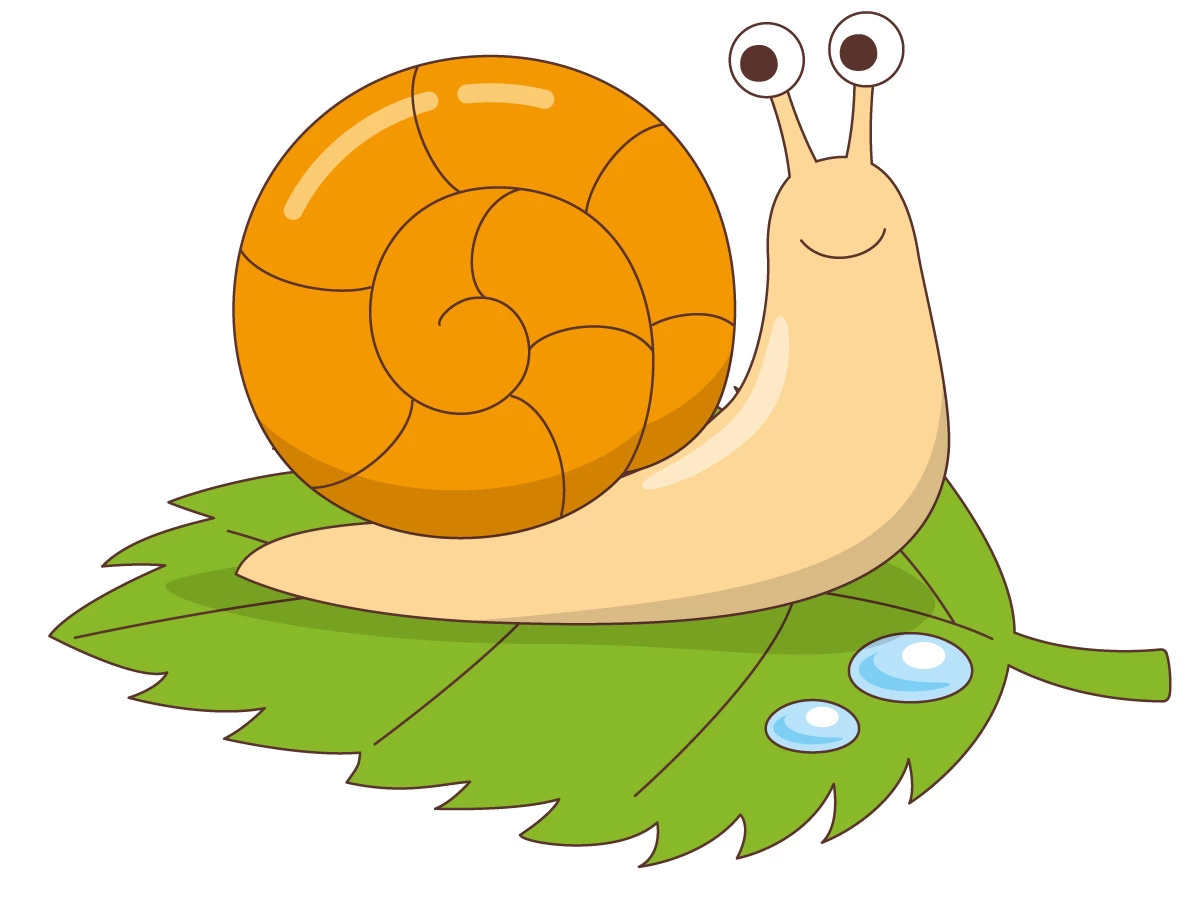 かたつむり】ページ Yahoo!オークション -「かたつむり」の落札相場