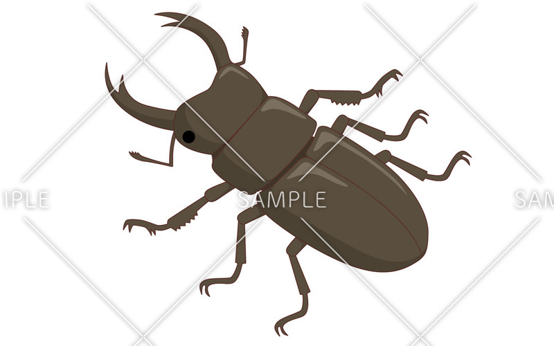 クワガタムシ（動物/その他一般・装飾）の無料イラスト | 介護アンテナ