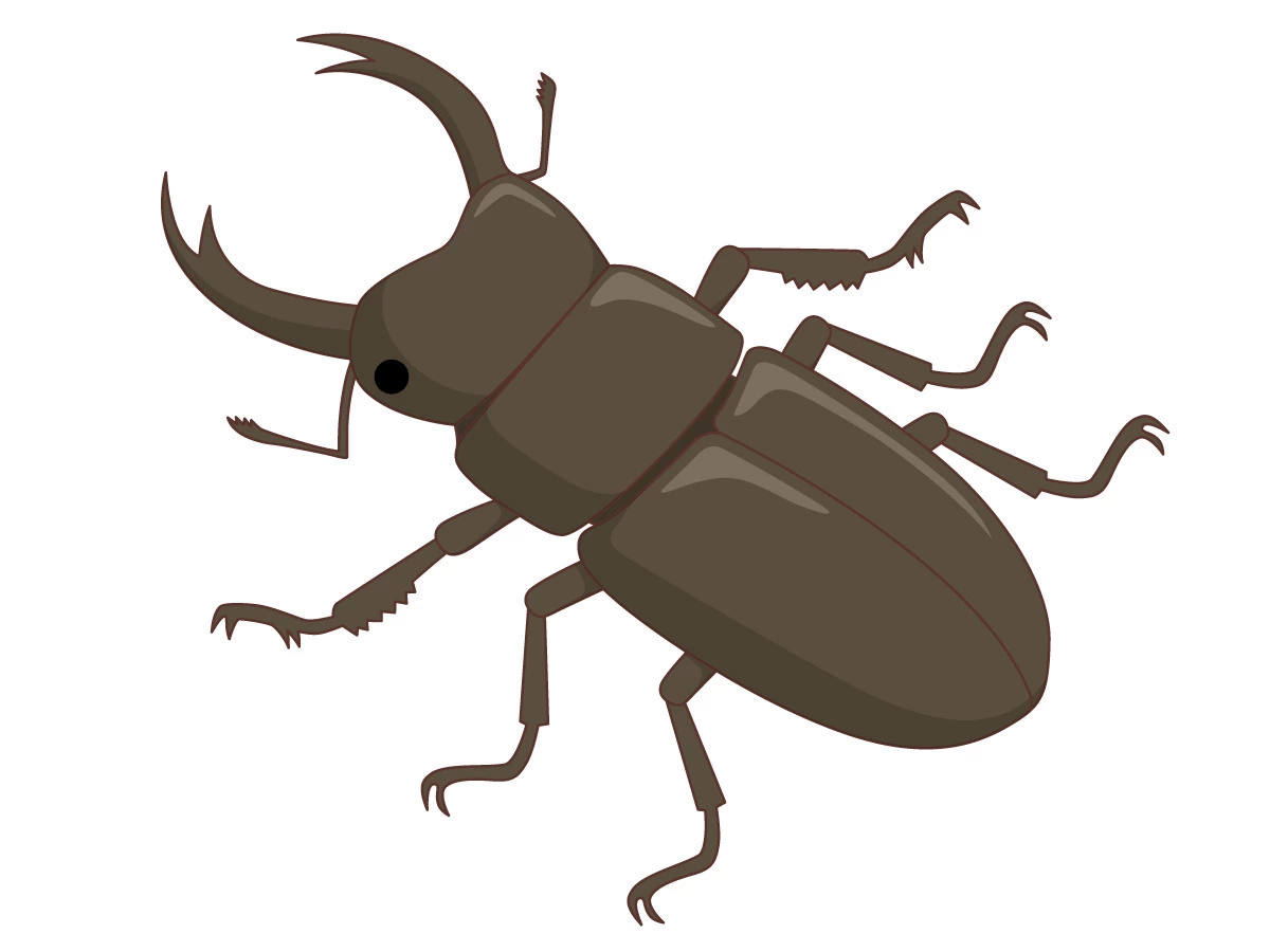 クワガタムシ (動物/自然・文化・その他の介護イラスト素材) | 介護