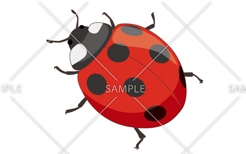 てんとうむし 動物 その他一般 装飾 の無料イラスト 介護アンテナ