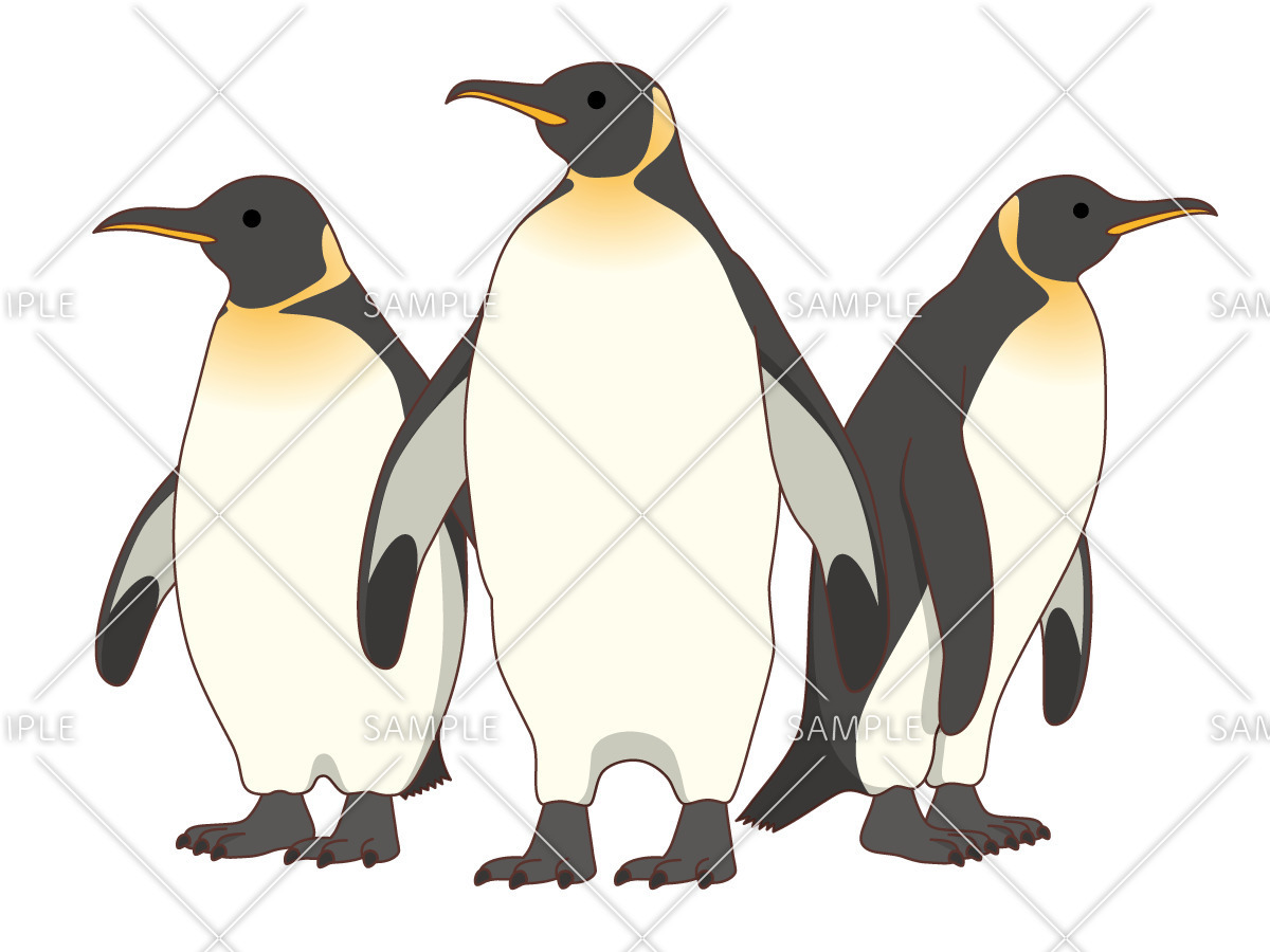 複数のペンギン（動物/その他一般・装飾）のイラスト