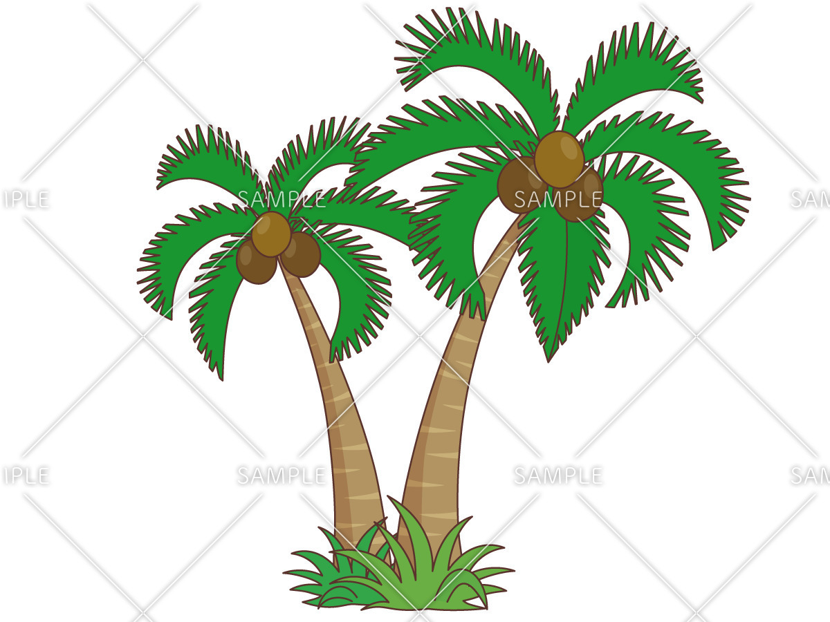 椰子の木 お花 その他一般 装飾 の無料イラスト 介護アンテナ