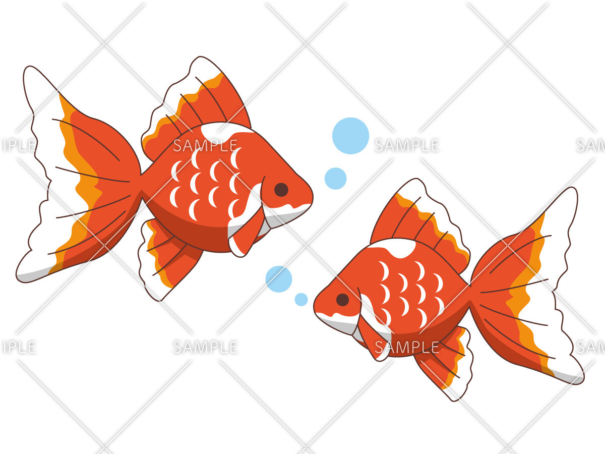 かわいい金魚（動物/その他一般・装飾）のイラスト