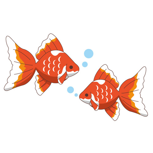 かわいい金魚（動物/その他一般・装飾）のイラスト