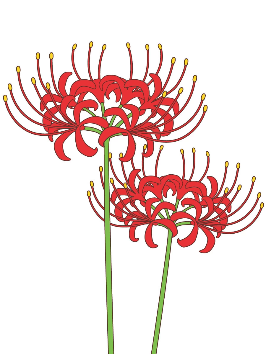 彼岸花 イラスト 簡単