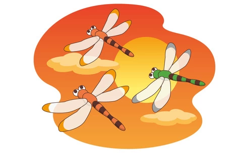 とんぼと夕焼け