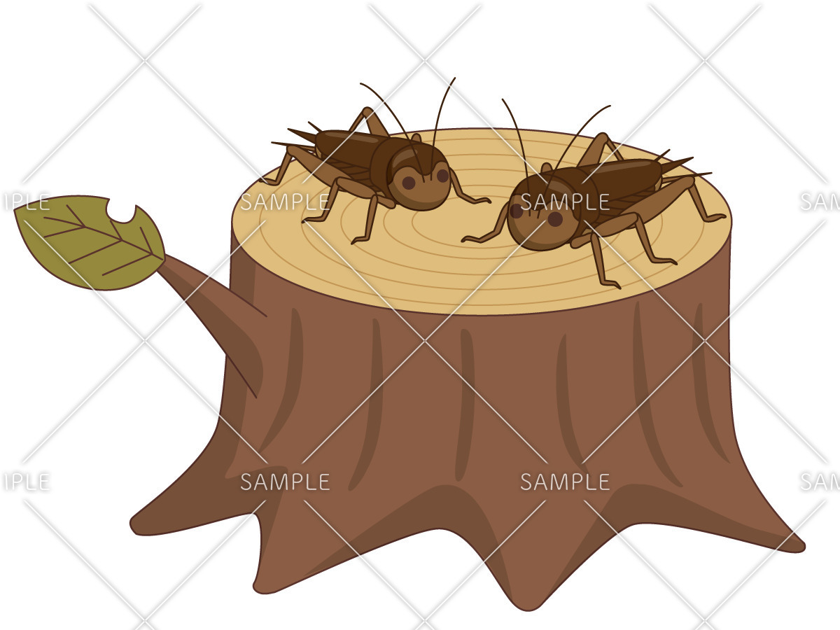 コオロギ 動物 その他一般 装飾 の無料イラスト 介護アンテナ