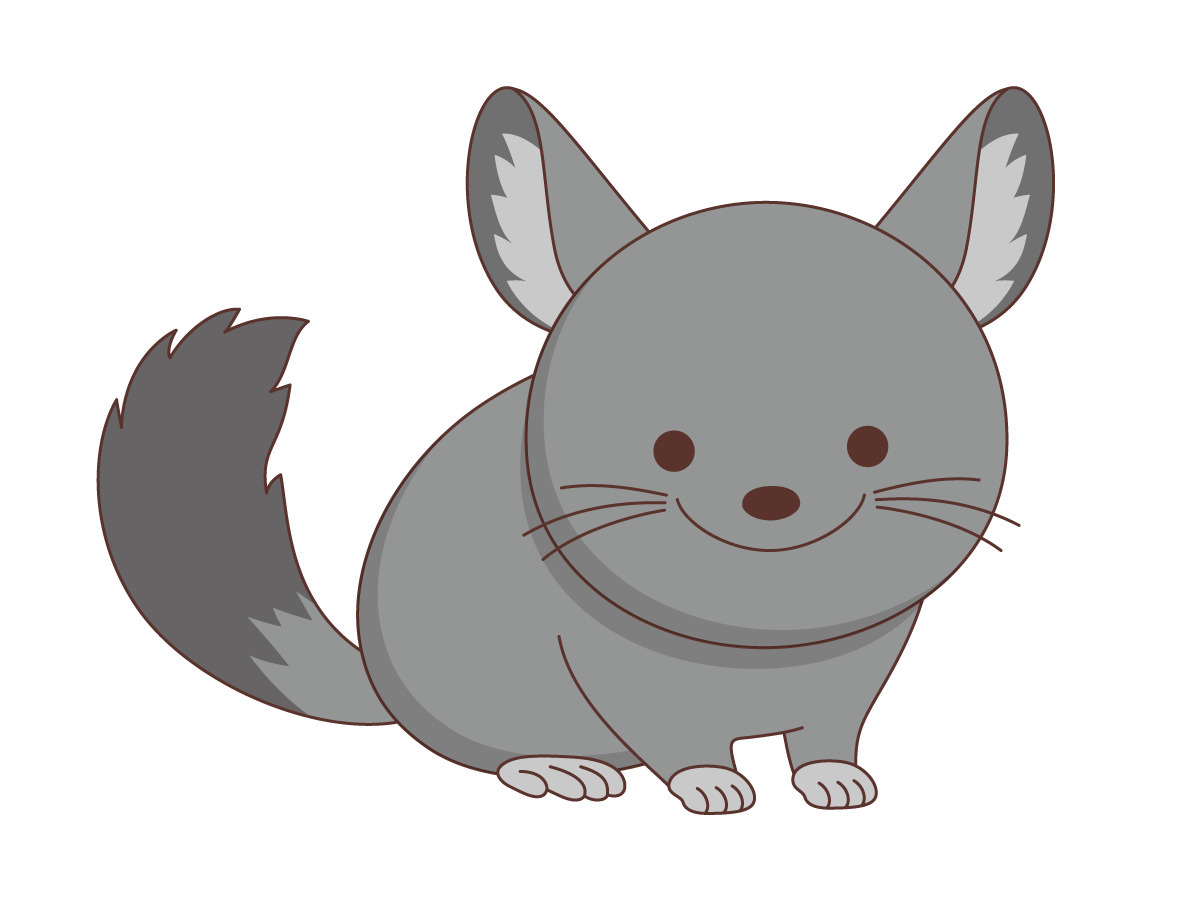 かわいいチンチラ 動物 その他一般 装飾 の無料イラスト 介護アンテナ