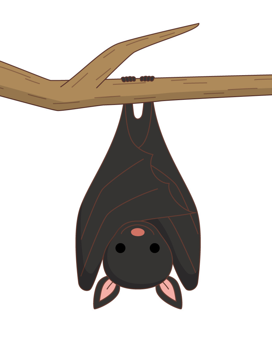 木にぶら下がっているかわいいコウモリ 動物 その他一般 装飾 の無料イラスト 介護アンテナ