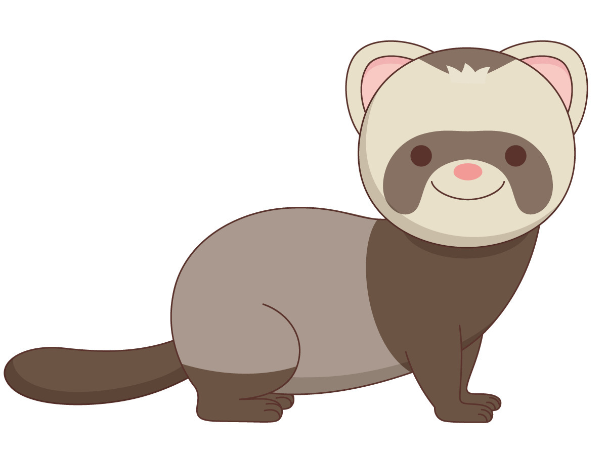 かわいいフェレット 動物 その他一般 装飾 の無料イラスト 介護アンテナ