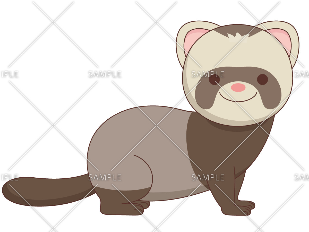 かわいいフェレット 動物 その他一般 装飾 の無料イラスト 介護アンテナ