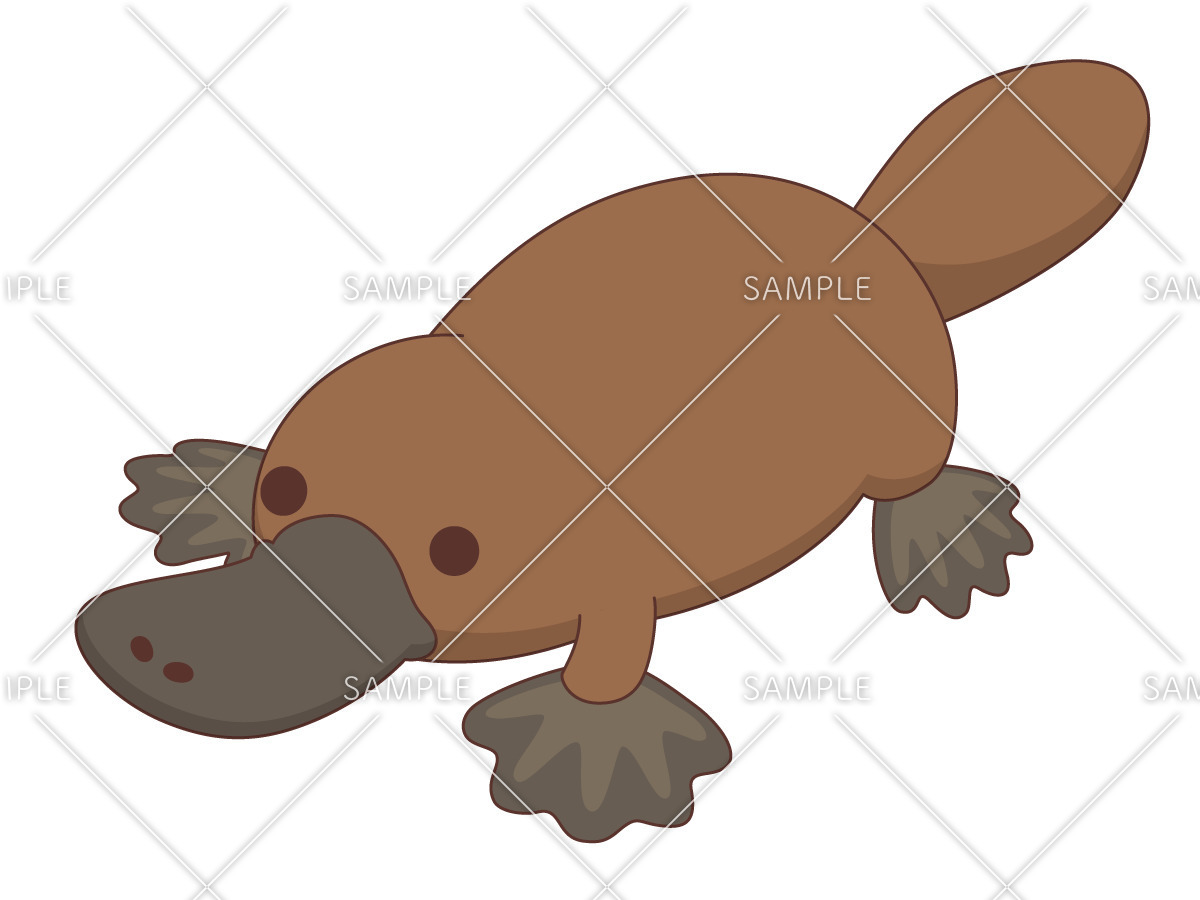 かわいいカモノハシ 動物 その他一般 装飾 の無料イラスト 介護アンテナ