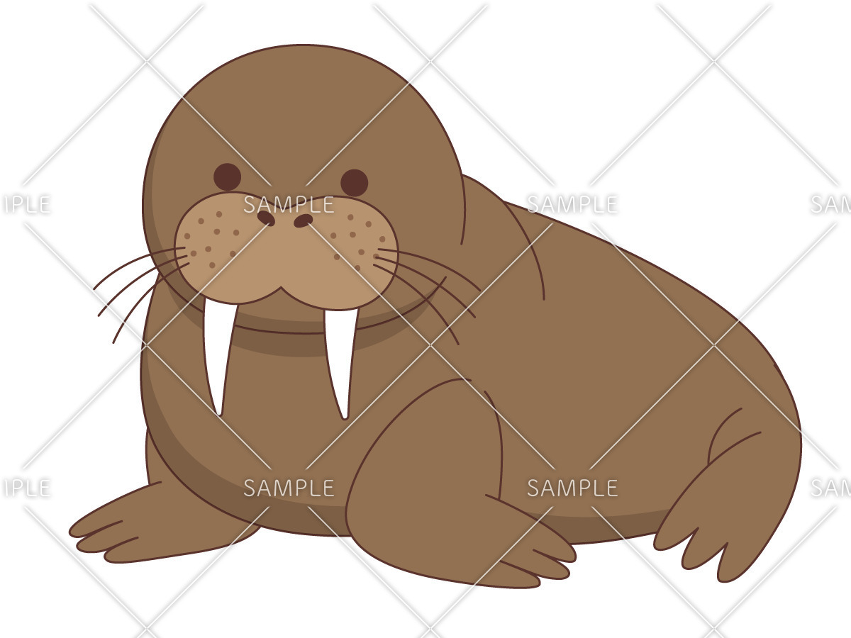 かわいいセイウチ（動物/その他一般・装飾）の無料イラスト | 介護アンテナ, 画像サイズ:1200x900