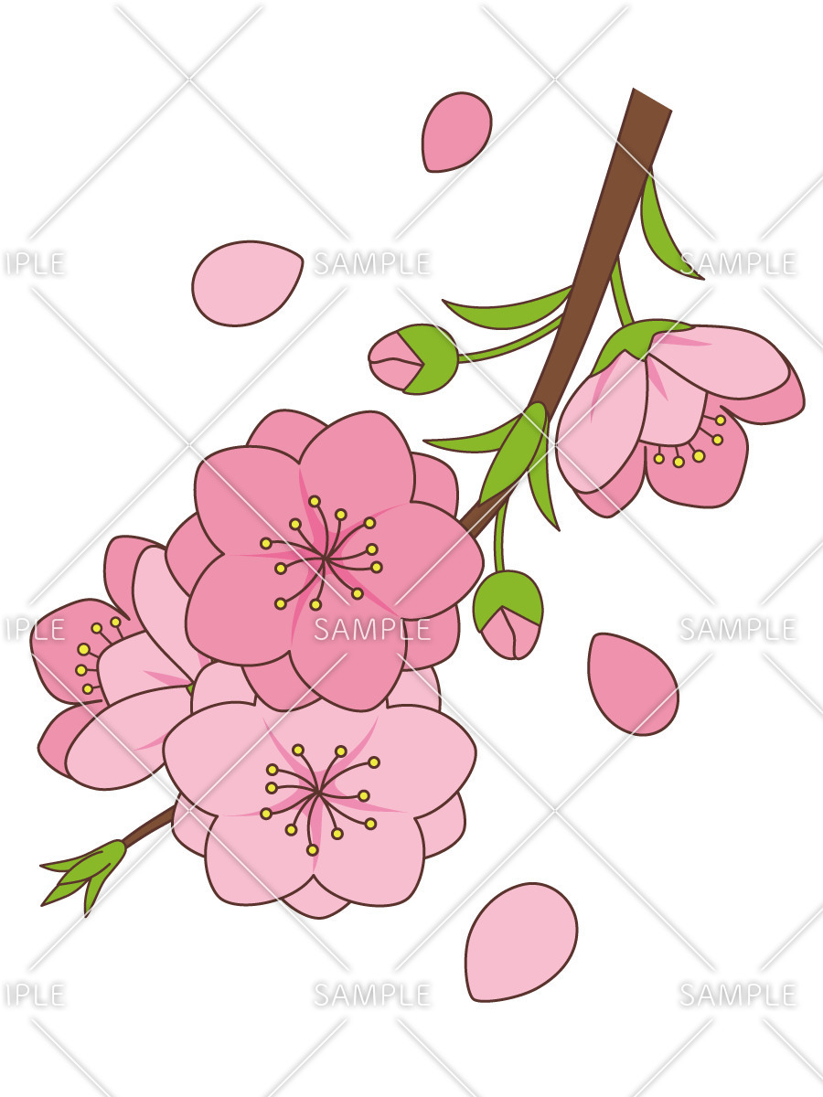 桃の花 お花 その他一般 装飾 の無料イラスト 介護アンテナ