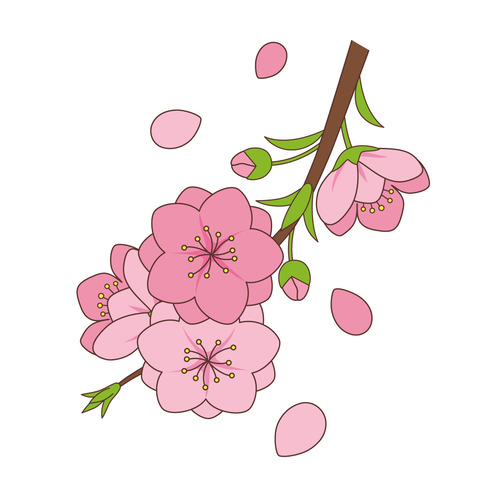 桃の花（お花/その他一般・装飾）のイラスト