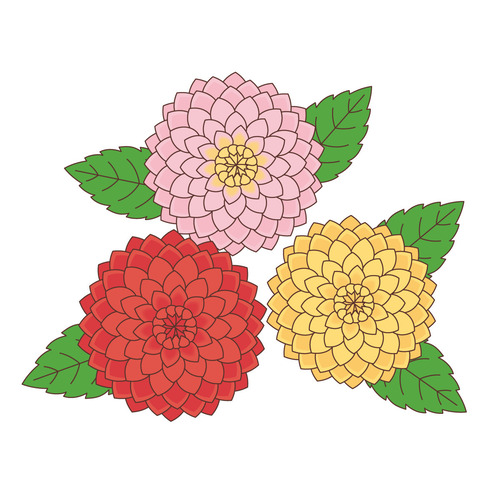 ダリア（お花/その他一般・装飾）のイラスト