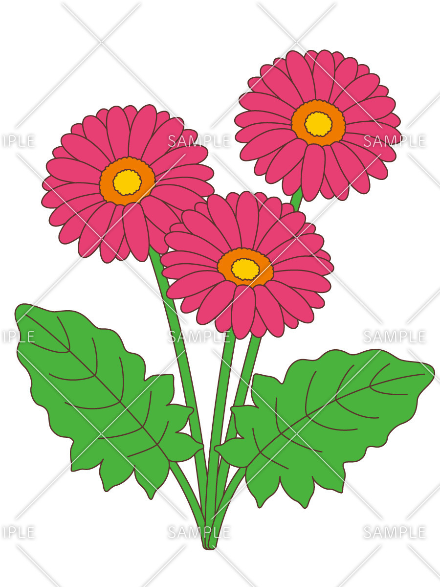 手描きイラスト10【ガーベラの花をあなたに】創作　A4 手描きイラスト10【ガーベラの花をあなたに】創作 A4 手描き