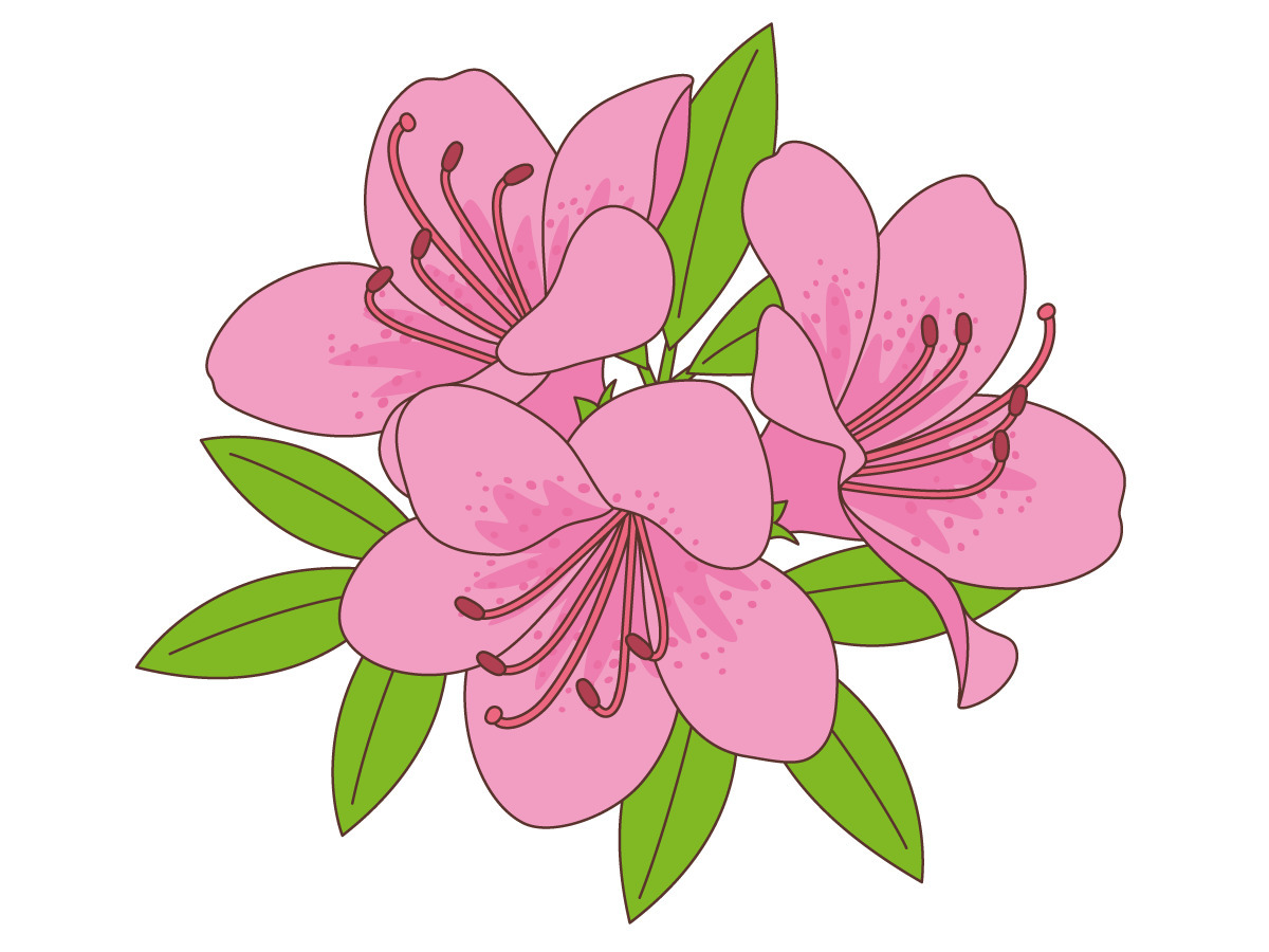 ツツジ お花 その他一般 装飾 の無料イラスト 介護アンテナ