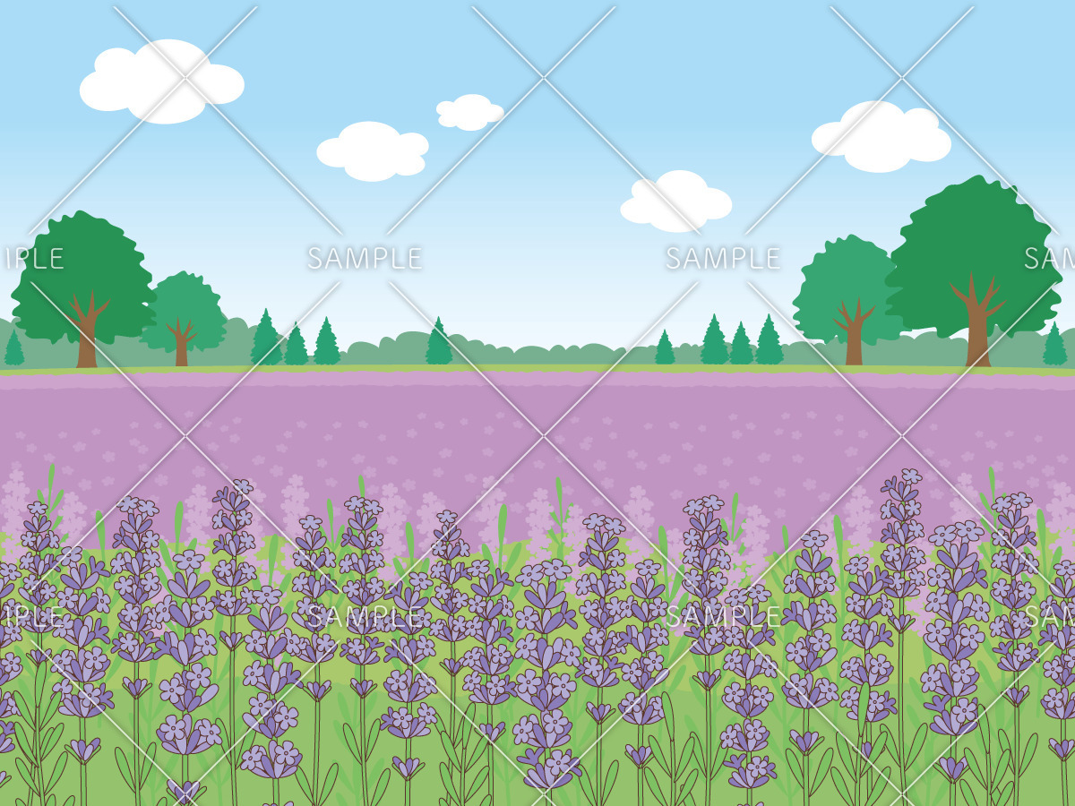 ラベンダー畑（お花/その他一般・装飾）のイラスト