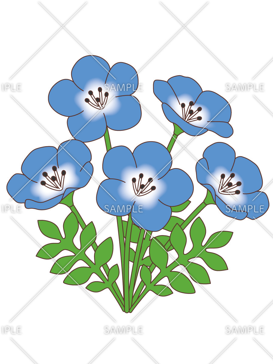 ネモフィラ お花 その他一般 装飾 の無料イラスト 介護アンテナ