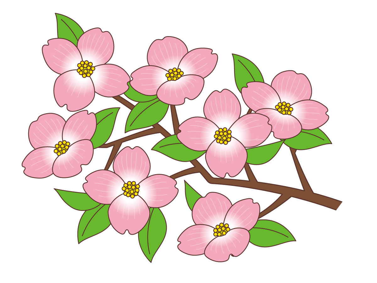 花水木 お花 その他一般 装飾 の無料イラスト 介護アンテナ