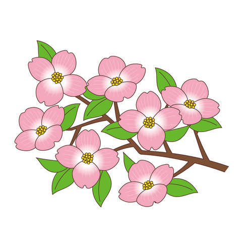 花水木（お花/その他一般・装飾）のイラスト
