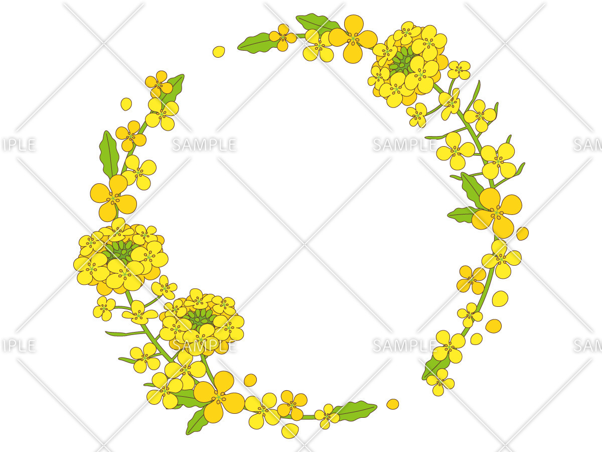 菜の花の丸いフレーム（お便り・お便りフレーム/フレーム・テンプレート）のイラスト