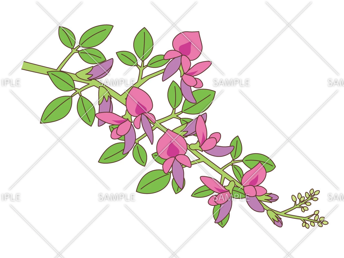 萩の花（お花/その他一般・装飾）のイラスト