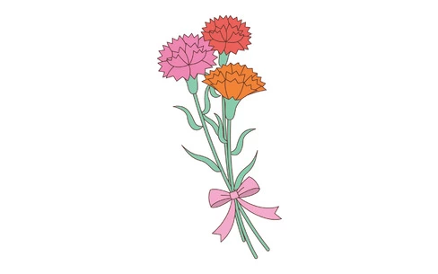 カーネーションの花（季節・行事/その他一般・装飾）