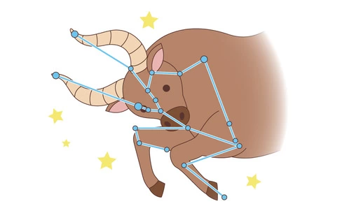 牡牛座（おうし座）