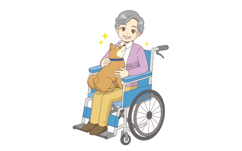 ドッグセラピー