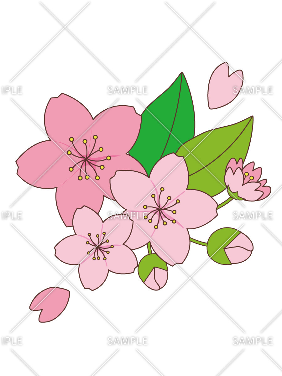 桜の花 季節 行事 その他一般 装飾 の無料イラスト 介護アンテナ