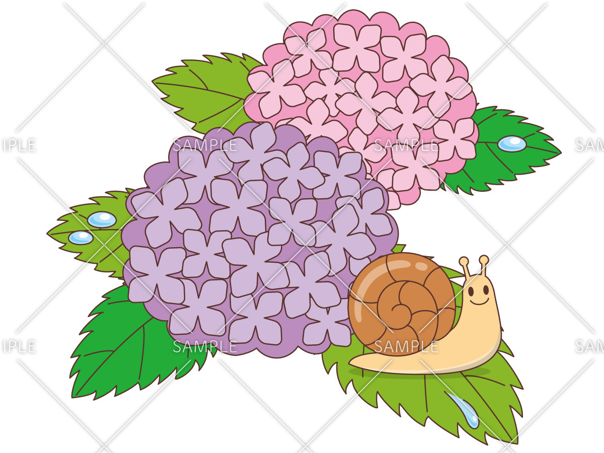 紫陽花とかたつむり（季節・行事/その他一般・装飾）の無料イラスト | 介護アンテナ