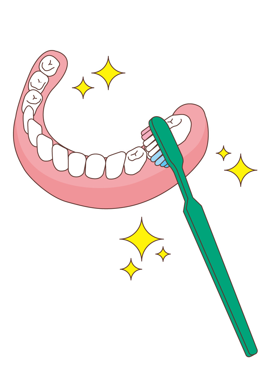 総入れ歯と歯ブラシ 入れ歯 福祉用具 の無料イラスト 介護アンテナ