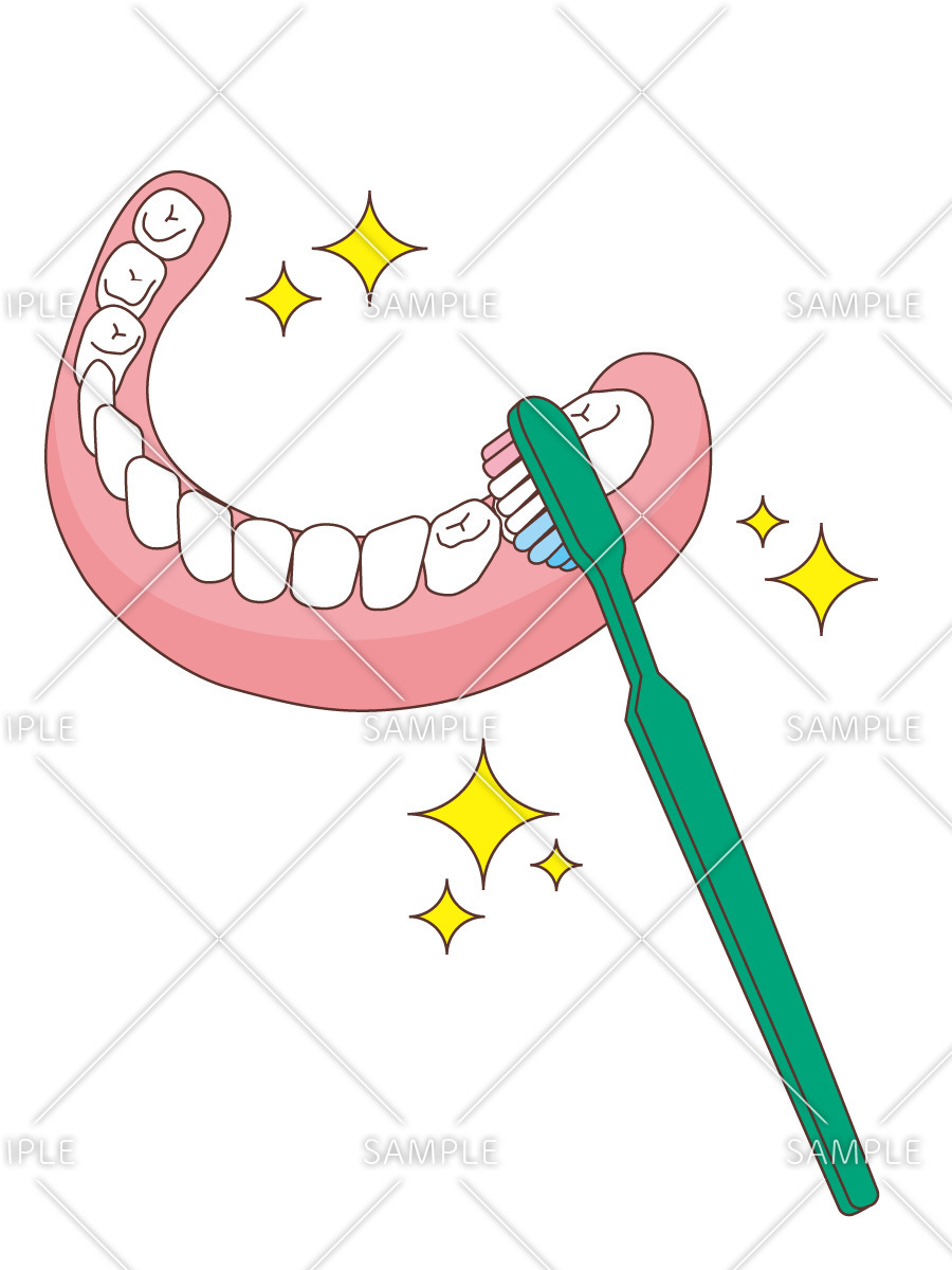 総入れ歯と歯ブラシ（入れ歯/福祉用具）のイラスト