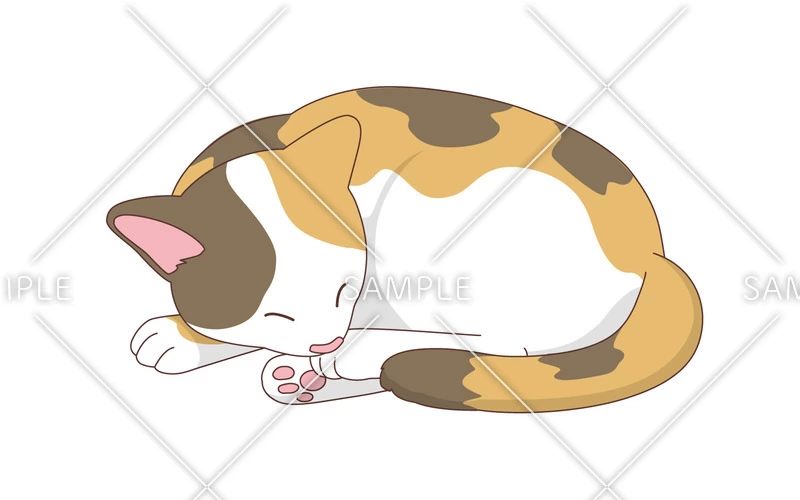 og_image_webp_000213.webp