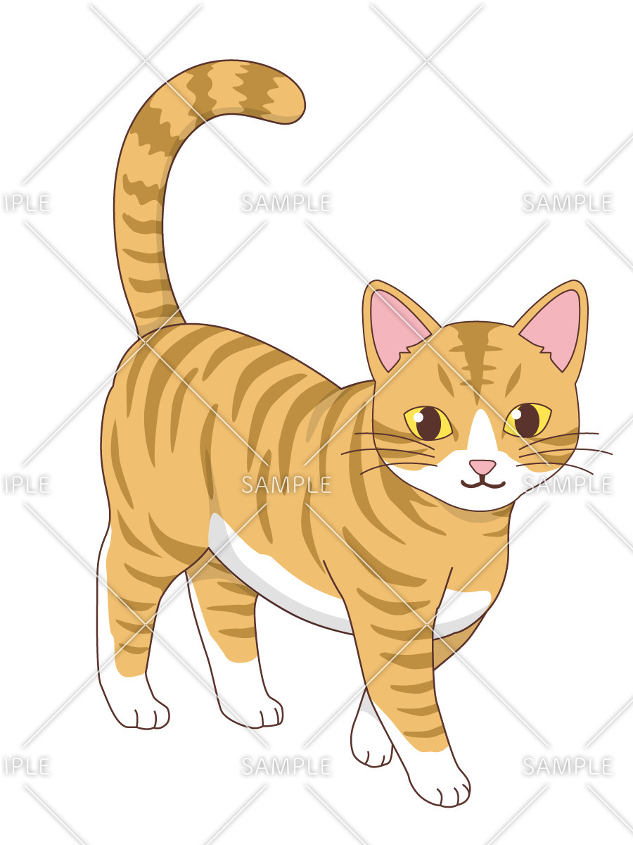 茶トラの猫（動物/その他一般・装飾）のイラスト