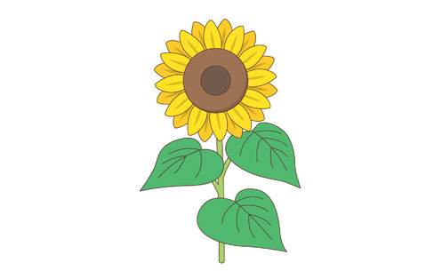 ひまわり（お花/その他一般・装飾）
