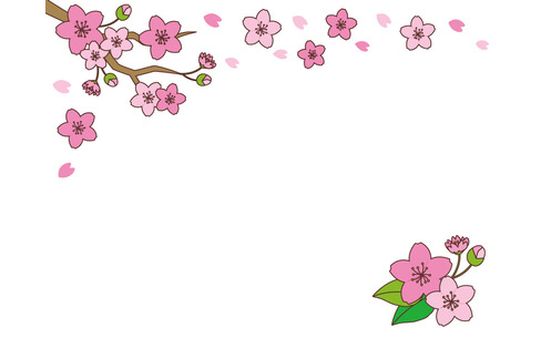 桜のフレーム（お便り・お便りフレーム/フレーム・テンプレート）
