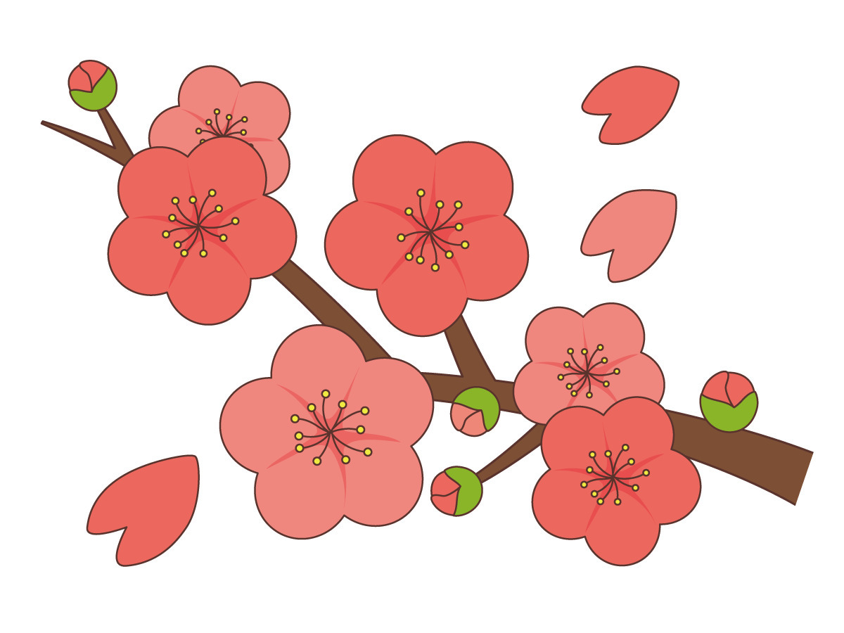 梅の花 季節 行事 その他一般 装飾 の無料イラスト 介護アンテナ