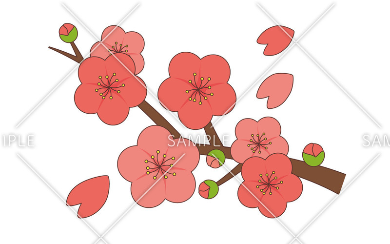 梅の花の絵 梅の花（季節・行事/その他一般・装飾）の無料イラスト | 介護アンテナ
