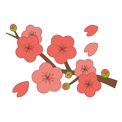 梅の花（季節・行事/その他一般・装飾）